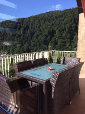 Гостиница Apartament Kyra, Синая